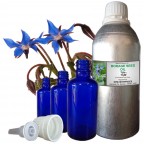 BORAGE SEED ESSENTIAL OIL, Borago Officinalis, 100% Pure & Natural Carrier Oil